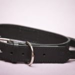 PRIDE Lederen halsband met handvat