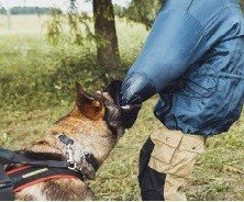 1432811588 PRIDE Lederen verborgen mouw