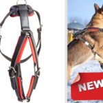 1433416021-1 PRIDE Gevoerde lederen hondenharnas maat L