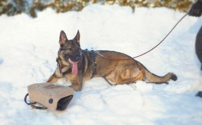 PRIDE Bijtkussen UMAX, zacht - jute