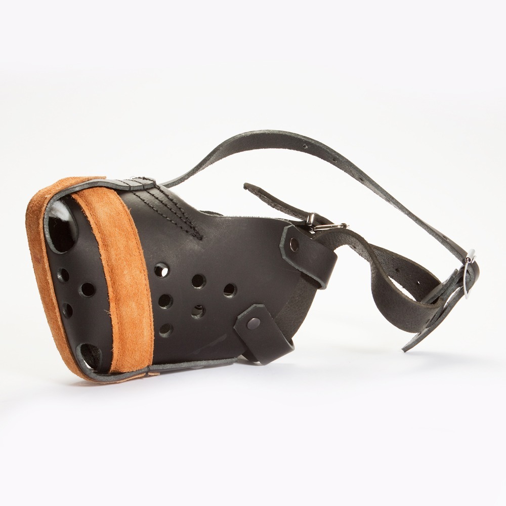 20000110017-reinforced-muzzle-1000x1000 K9 Factory Stootmuilkorf Groot