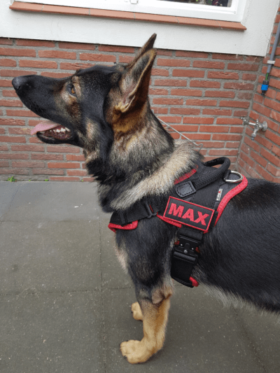 PRIDE Prof werkharnas VERO-plus-COBRAsluiting