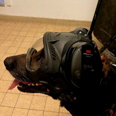 K9 DarkFighter Active Ear Covers