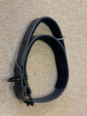 PRIDE Lederen halsband met handvat