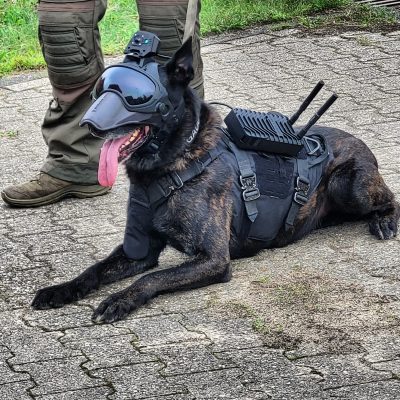 DarkMesh Camera System - Digital