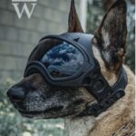 DARK SYSTEMS DarkFighter K9 Helm