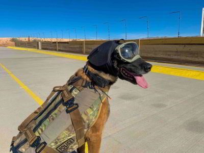 REX-SPECS Gehoorbescherming honden Ear-Pro