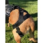 WHISPER ultralicht tactisch harnas - Recon K9