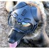 K9 Tactical CS-1-helm