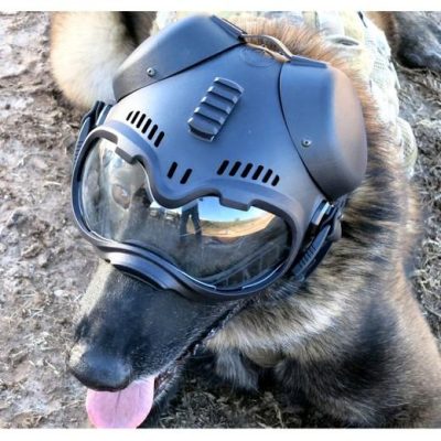 K9 Tactical CS-1-helm