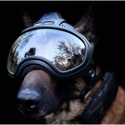 K9 Vision-systeem OPS-camera Dark Systems helm