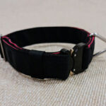 PRIDE Elite serie 40mm halsband N40
