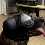 K9 DarkFighter Passive Ear Covers