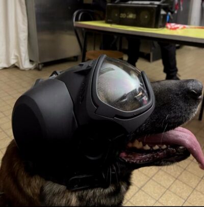 K9 DarkFighter Passive Ear Covers
