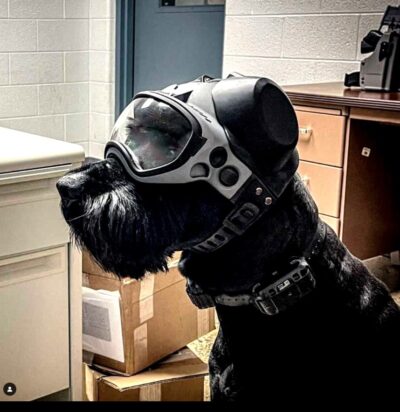 K9 DarkFighter Passive Ear Covers