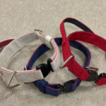 PRIDE Sterke halsband met handvat Cobra-sluiting