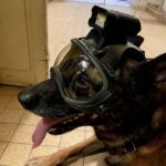 Op afstand bedienbare stroboscooplamp / afleidingsapparaat