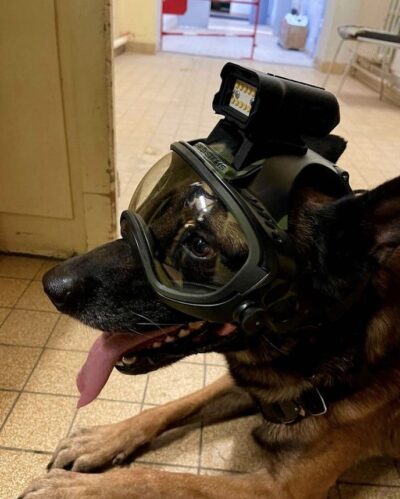 Op afstand bedienbare stroboscooplamp / afleidingsapparaat