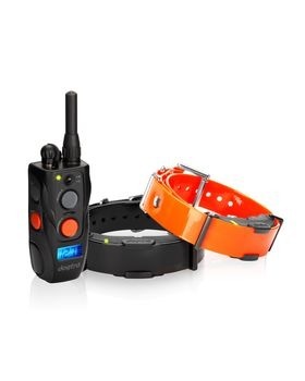 arc-800-dogtras-nieuwste-trainings-band-1-hond DOGTRA ARC800 Trainingsband