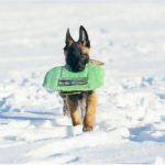 baby2 PRIDE Plat bijtkussen "BABY"