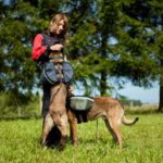 PRIDE hondenharnas Bags 2