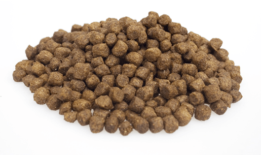 Super Premium Mini Lamb & Rice