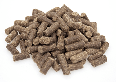 Premium Excellent Kip