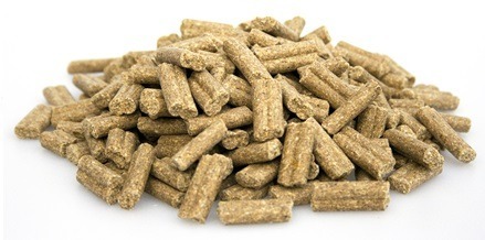 Super Premium Excellent Lamb & Rice