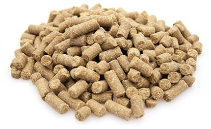 Super Premium Excellent Salmon & Rice