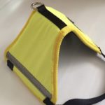 fluor2 PRIDE Reflecterend hondenharnas