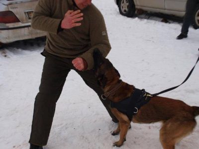 image4fh9gyk3 PRIDE Lederen verborgen mouw