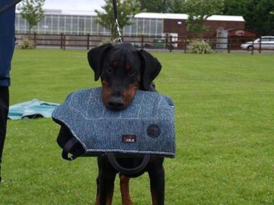 PRIDE Bijtkussen UMAX, zacht - Nylon / katoen