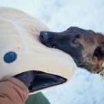 PRIDE Bijtkussen UMAX, zacht - jute