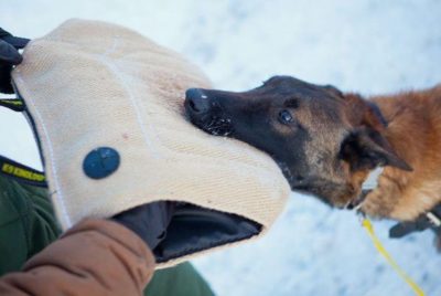 PRIDE Bijtkussen UMAX, zacht - jute