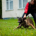 PRIDE Lederen halsband met handvat