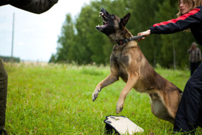 PRIDE Lederen halsband met handvat