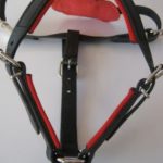 imagedny2j8ib PRIDE Gevoerde lederen hondenharnas maat S