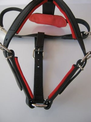 imagedny2j8ib PRIDE Gevoerde lederen hondenharnas maat S