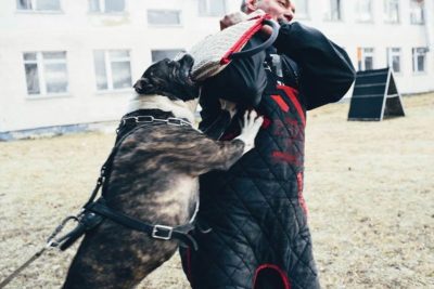 imagejkxccnwn PRIDE Plat bijtkussen "Komanch" met 3 handvatten, jute