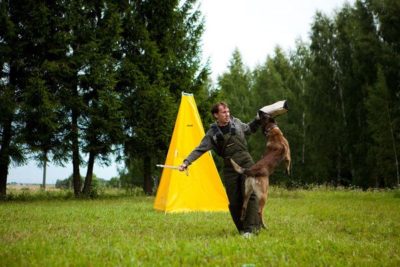 imagelkg0o9a9 PRIDE Bijtkussen van jute 3 Handvatten