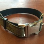 PRIDE Sterke nylon halsband met sterke metalen snelsluiting