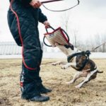 imageusgwzmij PRIDE Plat bijtkussen "Komanch" met 3 handvatten, jute