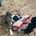 imagewd3zwybf PRIDE Plat bijtkussen "Komanch" met 3 handvatten, jute