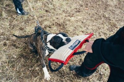 imagewd3zwybf PRIDE Plat bijtkussen "Komanch" met 3 handvatten, jute
