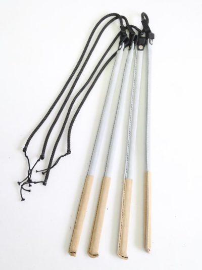 Lederen zweep (HST)