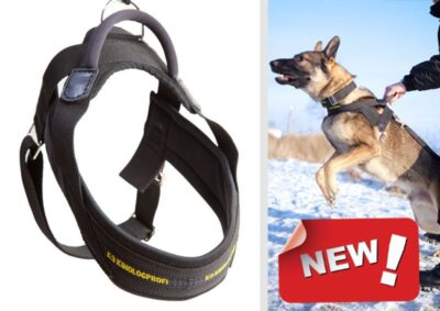 PRIDPRIDE Universeel harnas Master