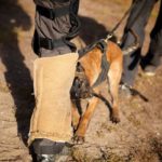 PRIDE puppy beenbeschermer zacht jute N1