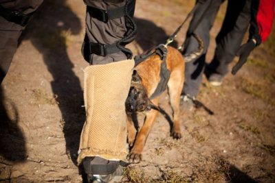 PRIDE puppy beenbeschermer zacht jute N1