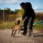 PRIDE puppy beenbeschermer zacht jute N1