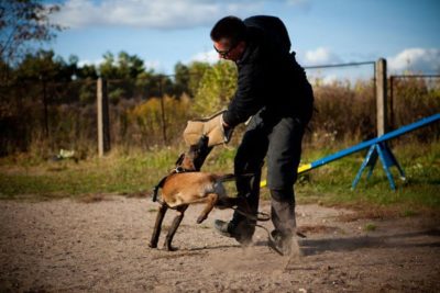 PRIDE puppy beenbeschermer zacht jute N1